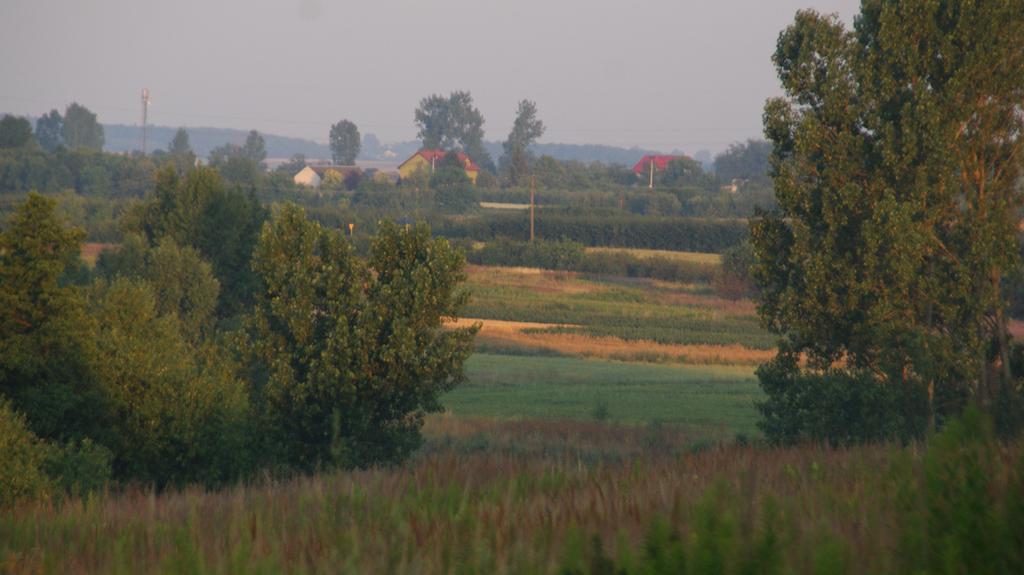 Dwor Na Wichrowym Wzgorzu Bed and Breakfast Przybysławice Εξωτερικό φωτογραφία