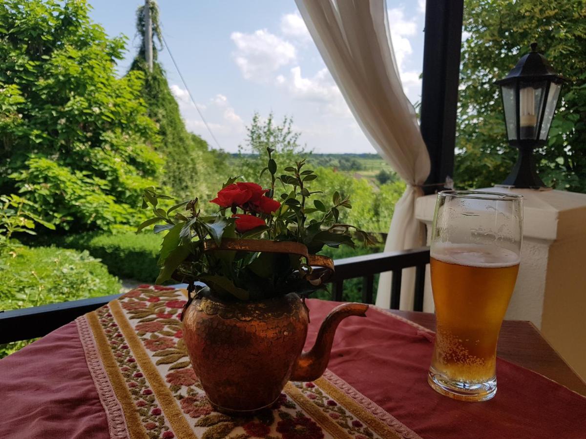 Dwor Na Wichrowym Wzgorzu Bed and Breakfast Przybysławice Εξωτερικό φωτογραφία