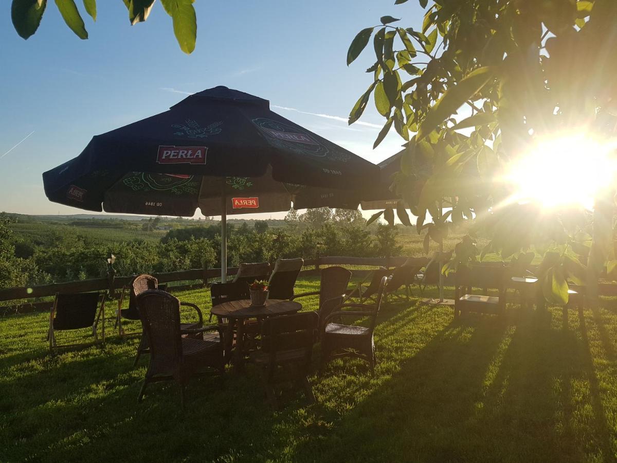 Dwor Na Wichrowym Wzgorzu Bed and Breakfast Przybysławice Εξωτερικό φωτογραφία