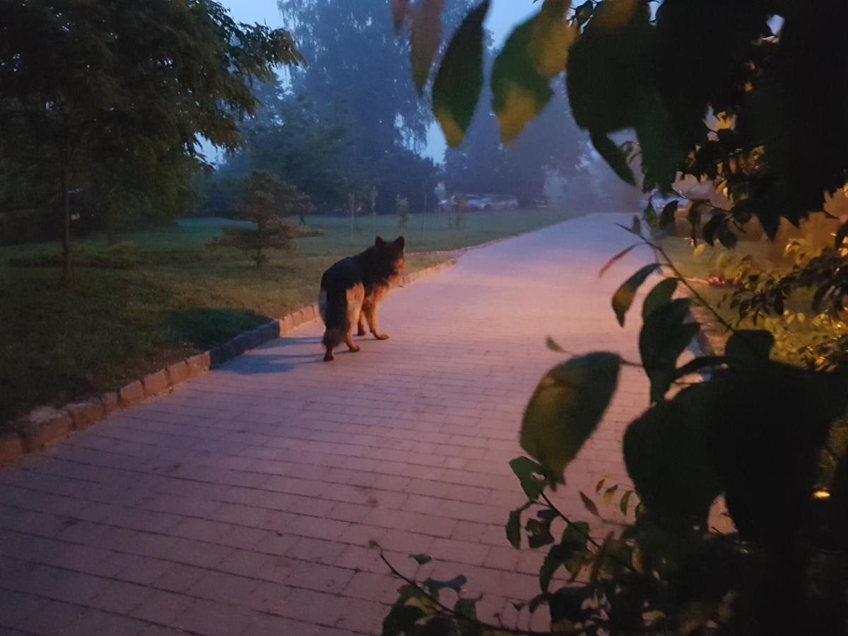Dwor Na Wichrowym Wzgorzu Bed and Breakfast Przybysławice Εξωτερικό φωτογραφία